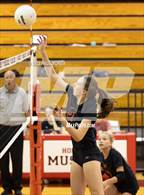 Photo from the gallery "Apex @ Middle Creek"