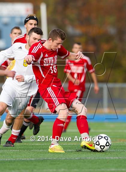 Thumbnail 3 in Silver Lake Regional vs Needham (MIAA Division 1 South Semifinal) photogallery.