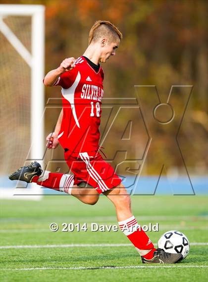 Thumbnail 1 in Silver Lake Regional vs Needham (MIAA Division 1 South Semifinal) photogallery.