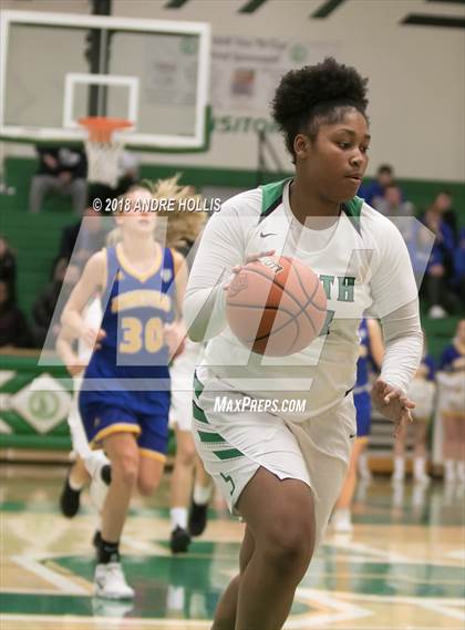Thumbnail 3 in Homestead vs. Fort Wayne South Side (IHSAA 1st Round Sectional Playoff) photogallery.