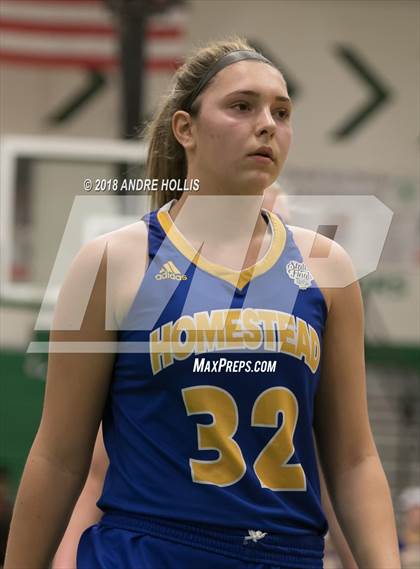Thumbnail 1 in Homestead vs. Fort Wayne South Side (IHSAA 1st Round Sectional Playoff) photogallery.
