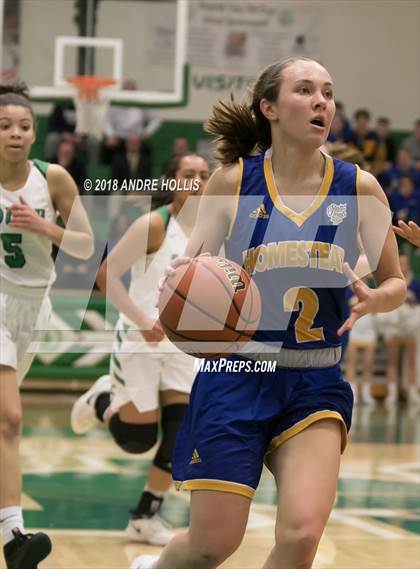 Thumbnail 2 in Homestead vs. Fort Wayne South Side (IHSAA 1st Round Sectional Playoff) photogallery.