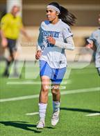 Photo from the gallery "Westbury @ Galena Park"