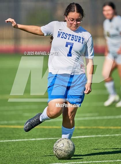 Thumbnail 1 in Westbury @ Galena Park photogallery.