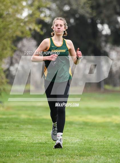 Thumbnail 1 in Del Mar @ Live Oak photogallery.