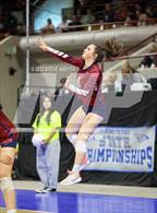 Photo from the gallery "Cherokee Trail vs. Cherry Creek (CHSAA 5A 1st Round)"