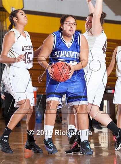 Thumbnail 2 in Hammonton @ Absegami photogallery.
