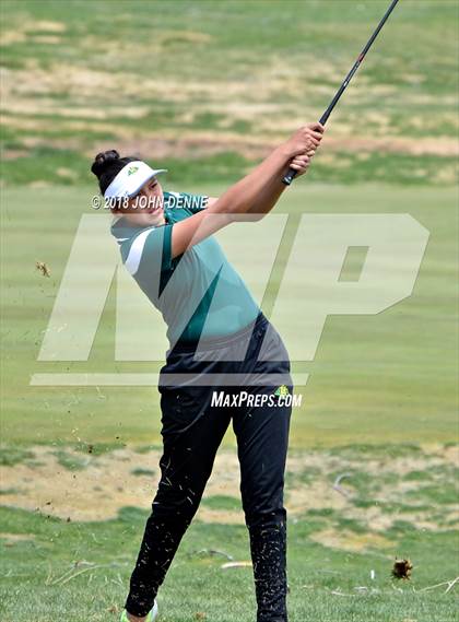 Thumbnail 1 in Los Alamos Golf Invitational photogallery.