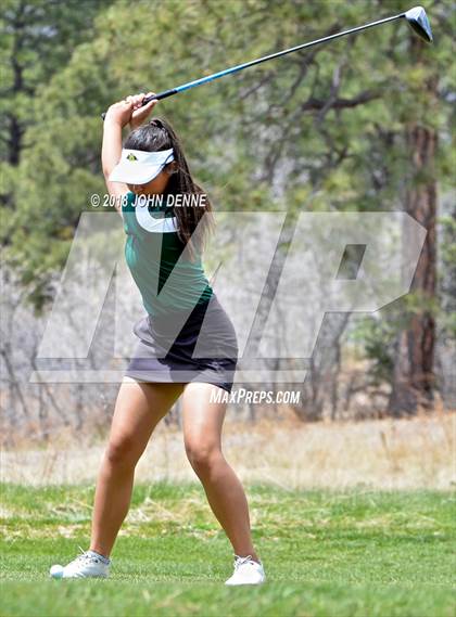 Thumbnail 2 in Los Alamos Golf Invitational photogallery.