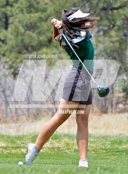 Thumbnail 1 in Los Alamos Golf Invitational photogallery.