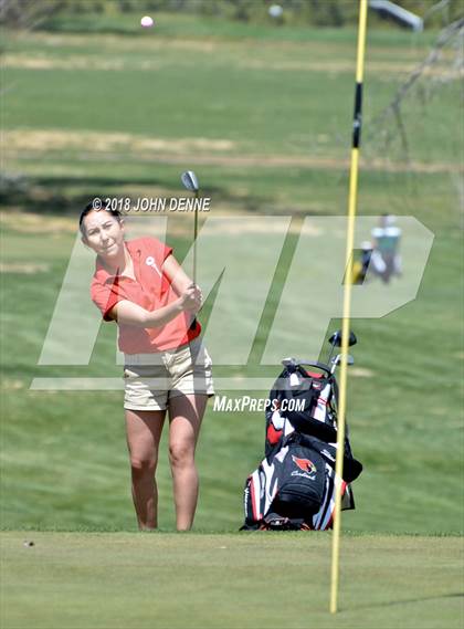 Thumbnail 3 in Los Alamos Golf Invitational photogallery.