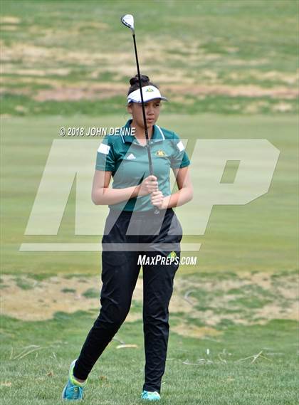Thumbnail 3 in Los Alamos Golf Invitational photogallery.