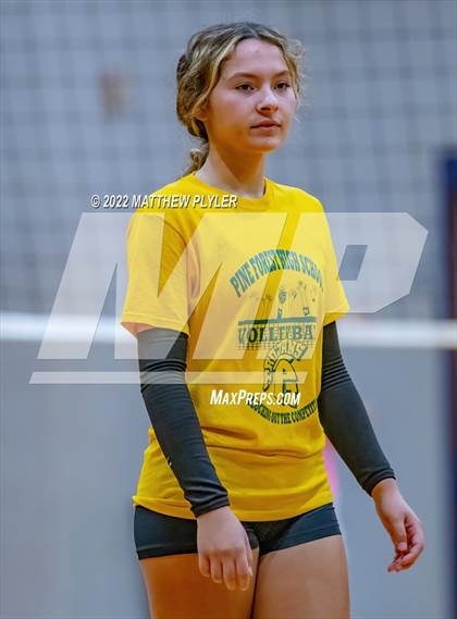Thumbnail 1 in Cape Fear vs Pine Forest (Jack Britt's 19th Annual Volleyball Jamboree)(scrimmage) photogallery.