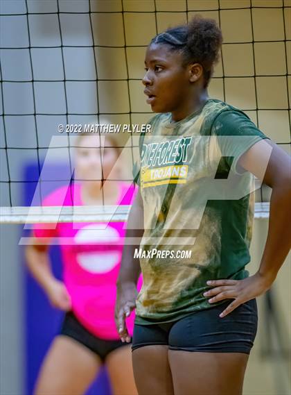 Thumbnail 1 in Cape Fear vs Pine Forest (Jack Britt's 19th Annual Volleyball Jamboree)(scrimmage) photogallery.