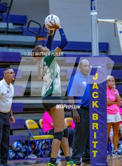 Thumbnail 1 in Cape Fear vs Pine Forest (Jack Britt's 19th Annual Volleyball Jamboree)(scrimmage) photogallery.