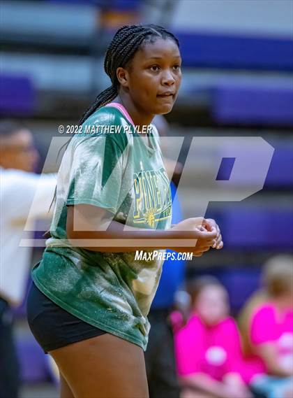 Thumbnail 3 in Cape Fear vs Pine Forest (Jack Britt's 19th Annual Volleyball Jamboree)(scrimmage) photogallery.