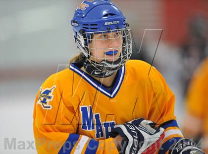 Thumbnail 1 in White Plains @ Mahopac photogallery.