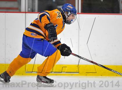 Thumbnail 3 in White Plains @ Mahopac photogallery.