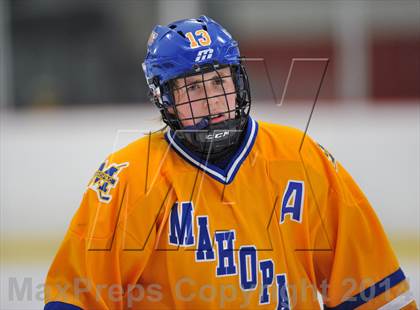 Thumbnail 2 in White Plains @ Mahopac photogallery.