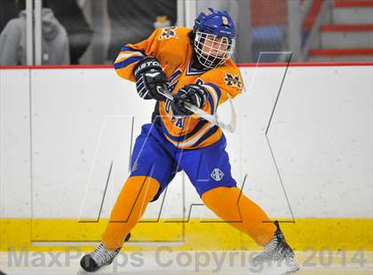 Thumbnail 1 in White Plains @ Mahopac photogallery.