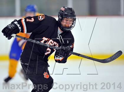 Thumbnail 3 in White Plains @ Mahopac photogallery.