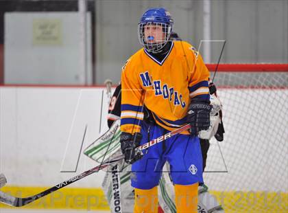 Thumbnail 2 in White Plains @ Mahopac photogallery.