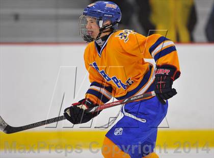 Thumbnail 2 in White Plains @ Mahopac photogallery.