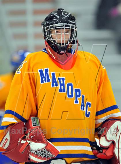 Thumbnail 2 in White Plains @ Mahopac photogallery.