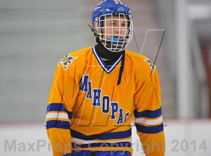 Thumbnail 1 in White Plains @ Mahopac photogallery.