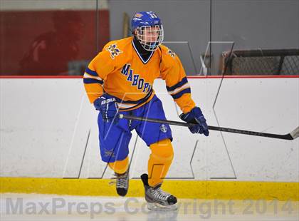 Thumbnail 3 in White Plains @ Mahopac photogallery.