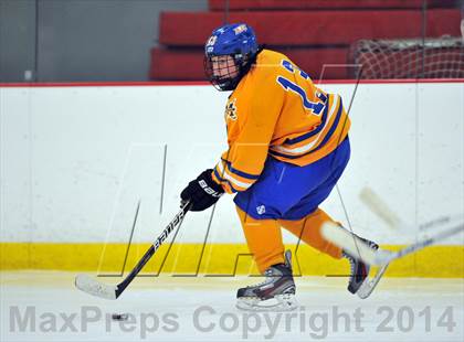Thumbnail 3 in White Plains @ Mahopac photogallery.