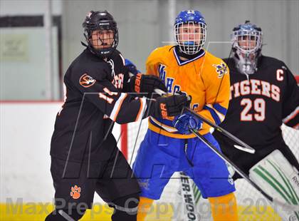 Thumbnail 1 in White Plains @ Mahopac photogallery.