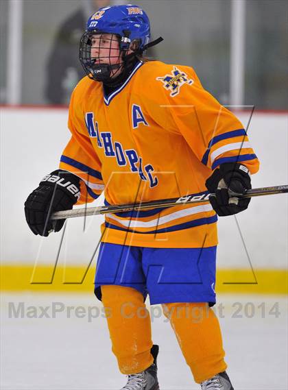 Thumbnail 3 in White Plains @ Mahopac photogallery.