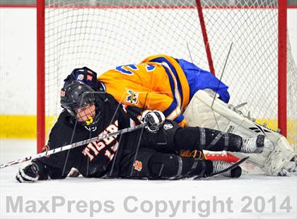 Thumbnail 3 in White Plains @ Mahopac photogallery.