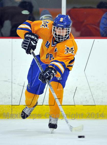 Thumbnail 2 in White Plains @ Mahopac photogallery.