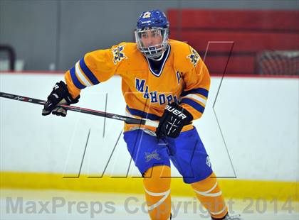 Thumbnail 2 in White Plains @ Mahopac photogallery.
