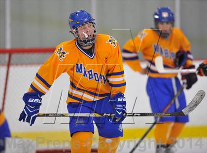 Thumbnail 1 in White Plains @ Mahopac photogallery.