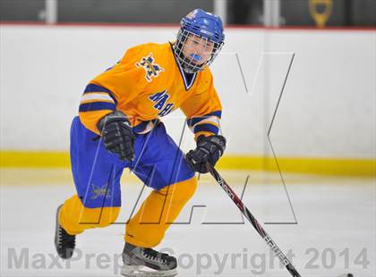 Thumbnail 1 in White Plains @ Mahopac photogallery.