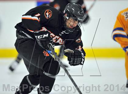 Thumbnail 2 in White Plains @ Mahopac photogallery.