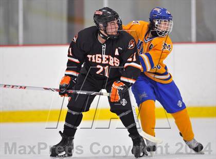 Thumbnail 2 in White Plains @ Mahopac photogallery.