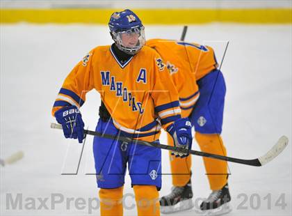 Thumbnail 3 in White Plains @ Mahopac photogallery.