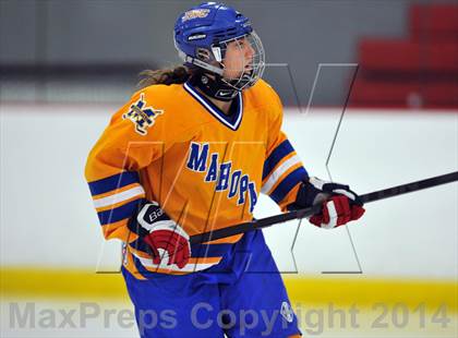 Thumbnail 2 in White Plains @ Mahopac photogallery.