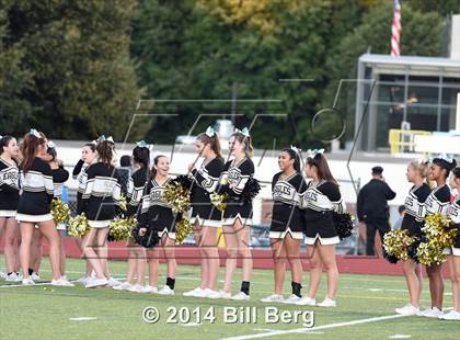 Thumbnail 1 in Shelton @ Trumbull photogallery.