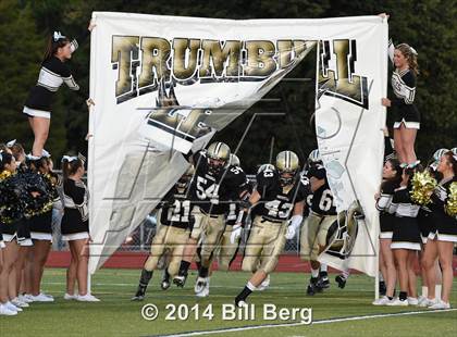 Thumbnail 3 in Shelton @ Trumbull photogallery.