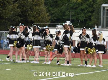 Thumbnail 3 in Shelton @ Trumbull photogallery.
