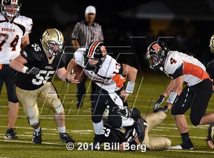 Thumbnail 3 in Shelton @ Trumbull photogallery.