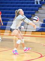 Photo from the gallery "Casteel @ Centennial"