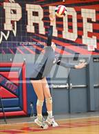 Photo from the gallery "Casteel @ Centennial"