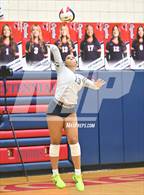 Photo from the gallery "Casteel @ Centennial"