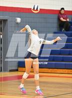 Photo from the gallery "Casteel @ Centennial"